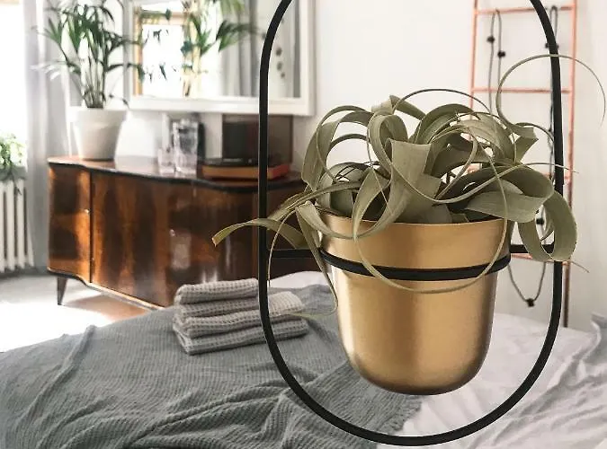 Διαμέρισμα Townhall Πόζναν